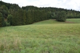 VERKAUFT !!! Sacherl mit großer Weide und Wald in ruhiger fast Alleinlage, ideal für Tierhaltung - Weide und Wald